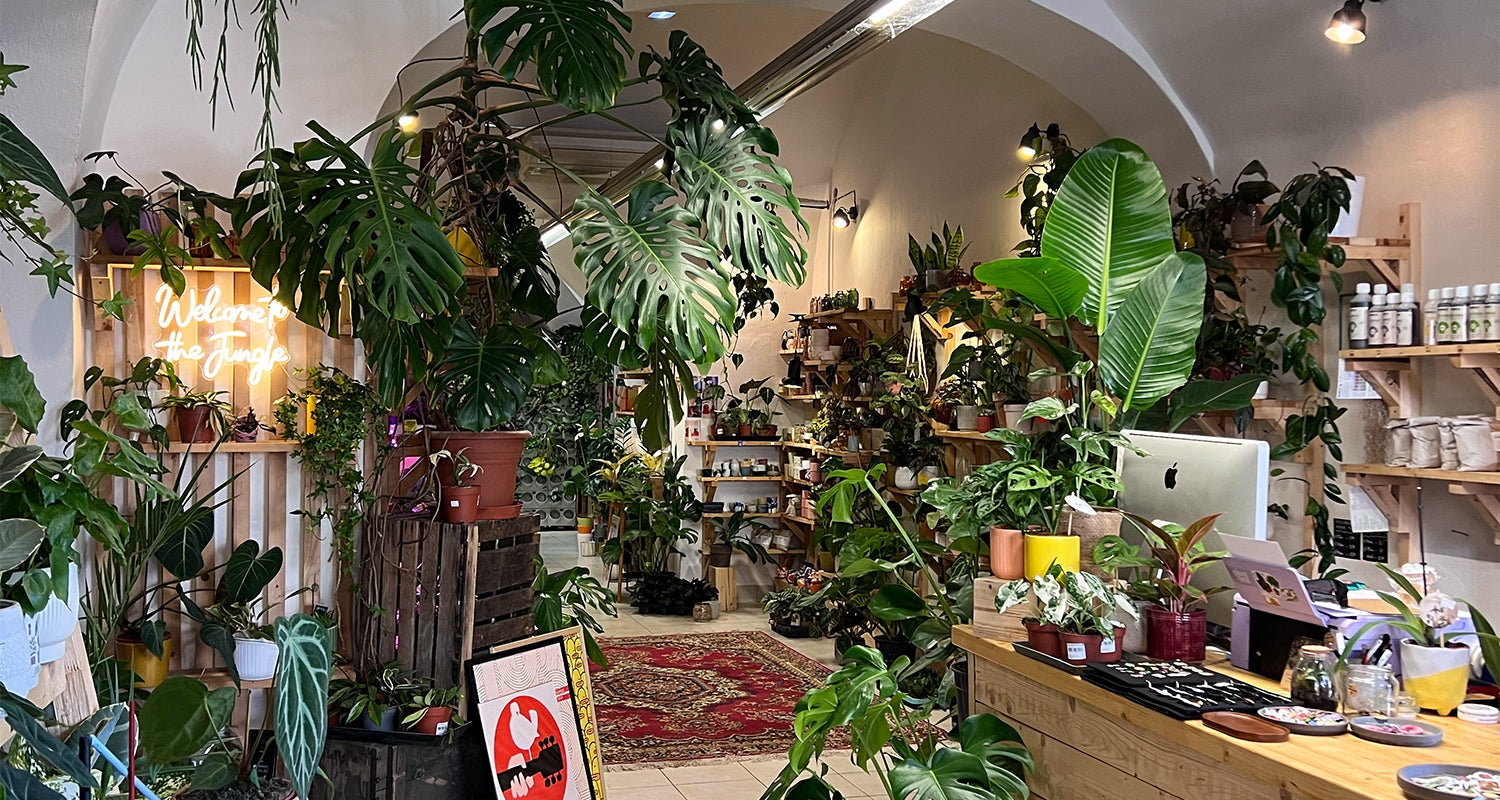 Slow Green Business: Keď rastliny dostanú čas rásť správne