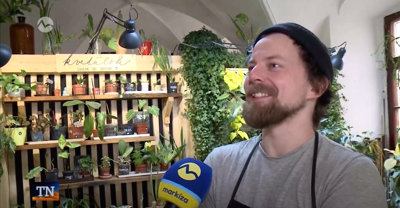 Plant Bros