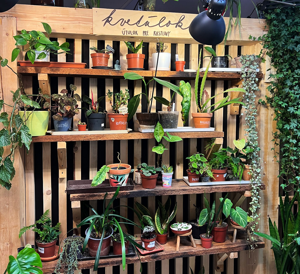 Plant Bros