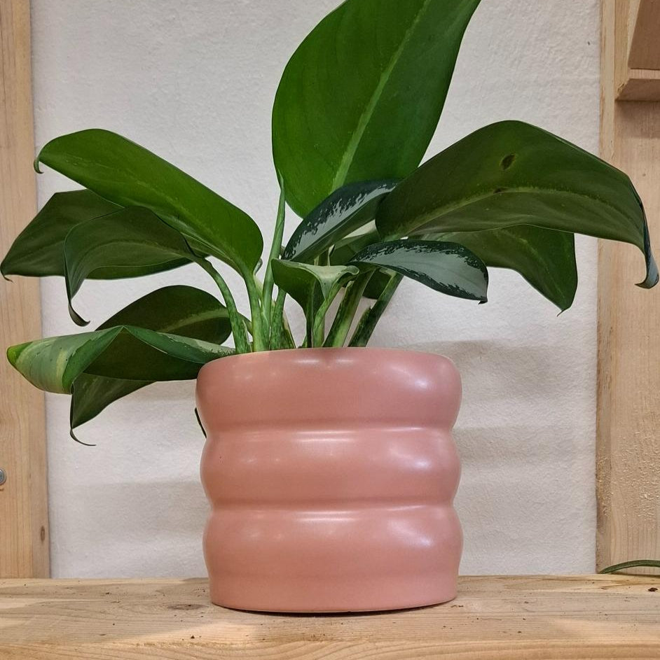 Kvetináč Chunky Silnorúžový