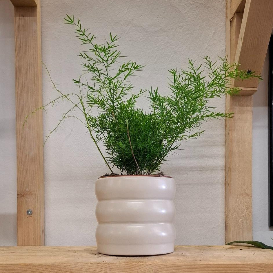 Kvetináč Chunky Krémový