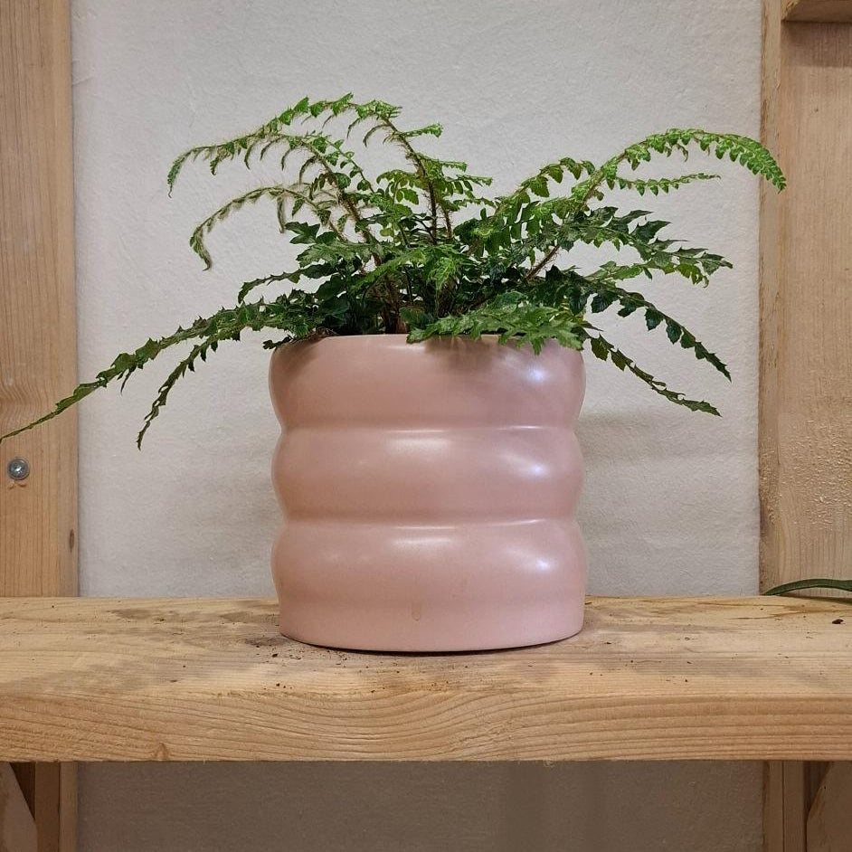 Kvetináč Chunky Slaborúžový