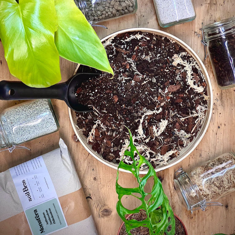 Vzdušný substrát SoilBros Monstera & Philodendron (Anthurium & Zamioculcas)