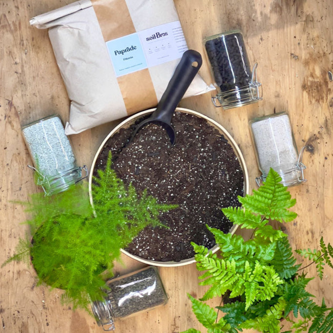 Vzdušný substrát SoilBros Papraď (Ferns & Fittonia)