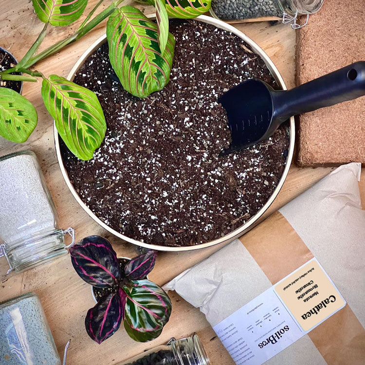 Vzdušný substrát SoilBros Calathea (Maranta & Stromanthe & Ctenanthe)