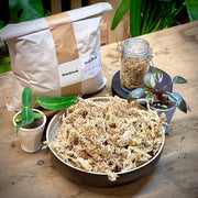 Rašelinník / Sphagnum 100g
