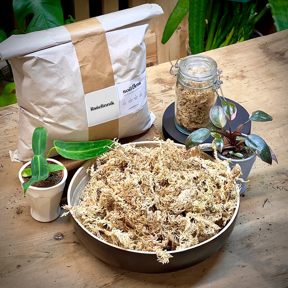 Rašelinník / Sphagnum 100g