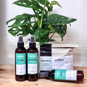 Set Plant Bros Monstera