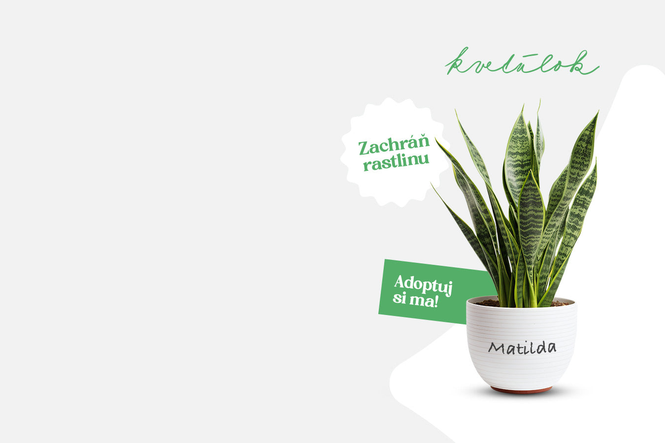 Plant Bros