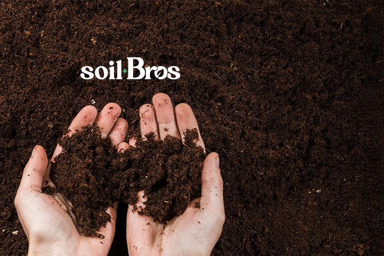 Plant Bros