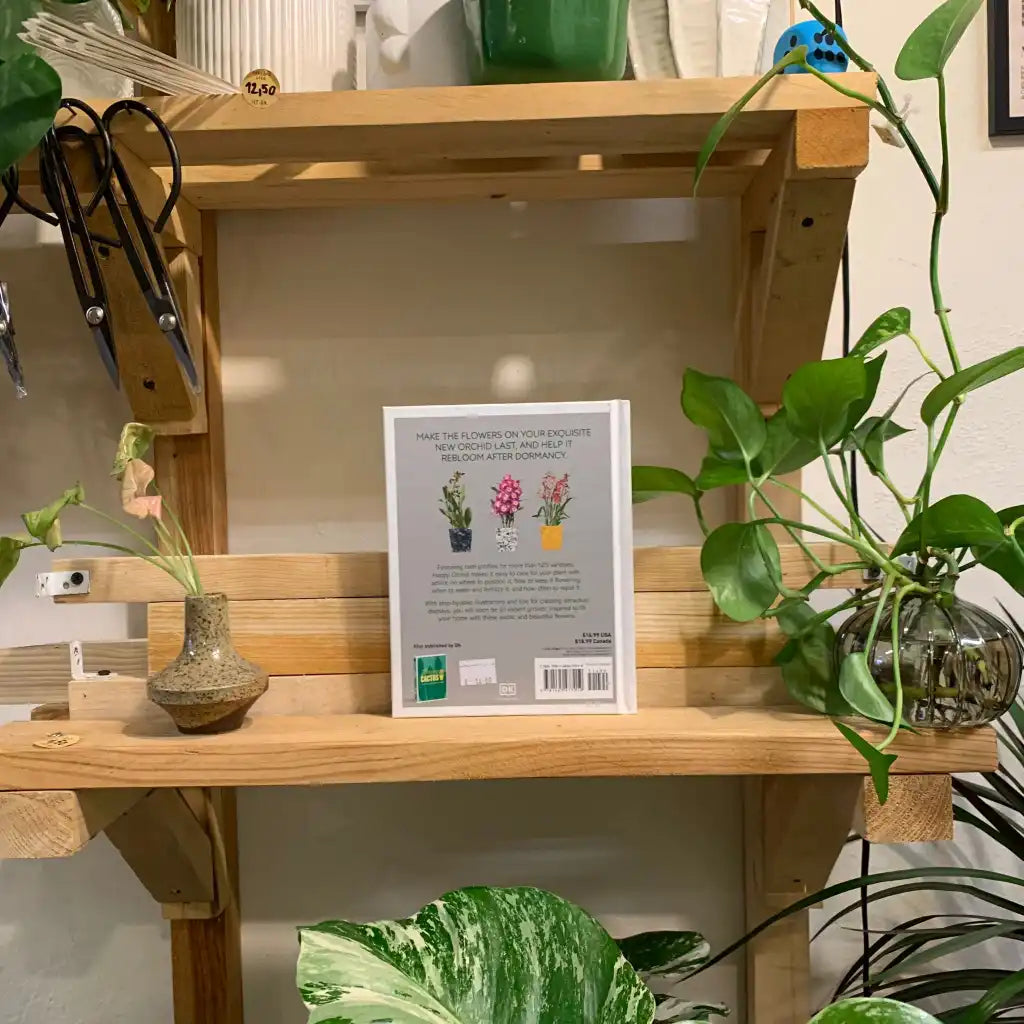 Happy Orchid: Help it Flower, Watch it Flourish - Sara Rittershausen