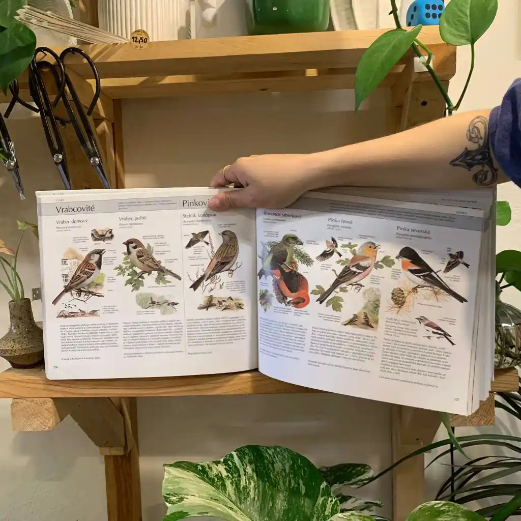 Naša príroda "Živočíchy a rastliny strednej Európy" - Reader´s Digest