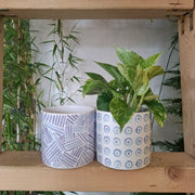 Kvetináč Grécky šalát