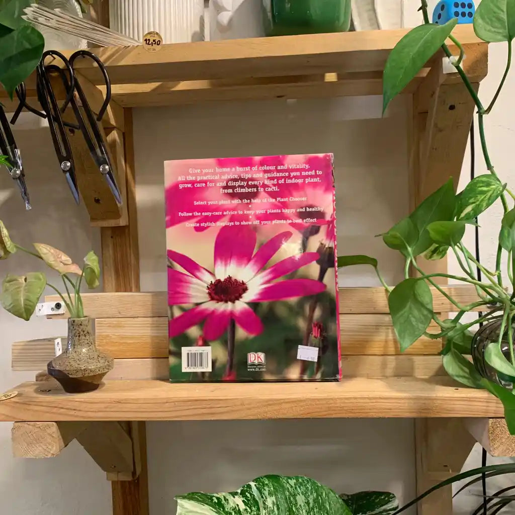 House Plants - Paul Williams