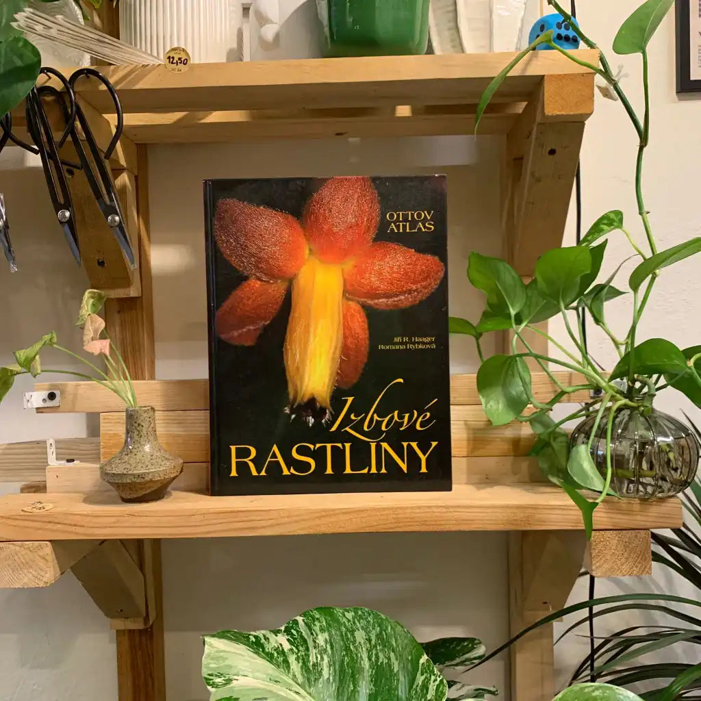 Izbové rastliny. Ottov atlas - Haager Jiří R., Rybková Romana