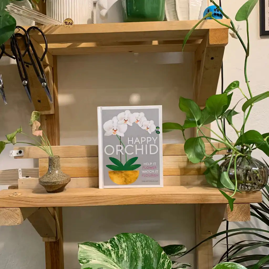 Happy Orchid: Help it Flower, Watch it Flourish - Sara Rittershausen