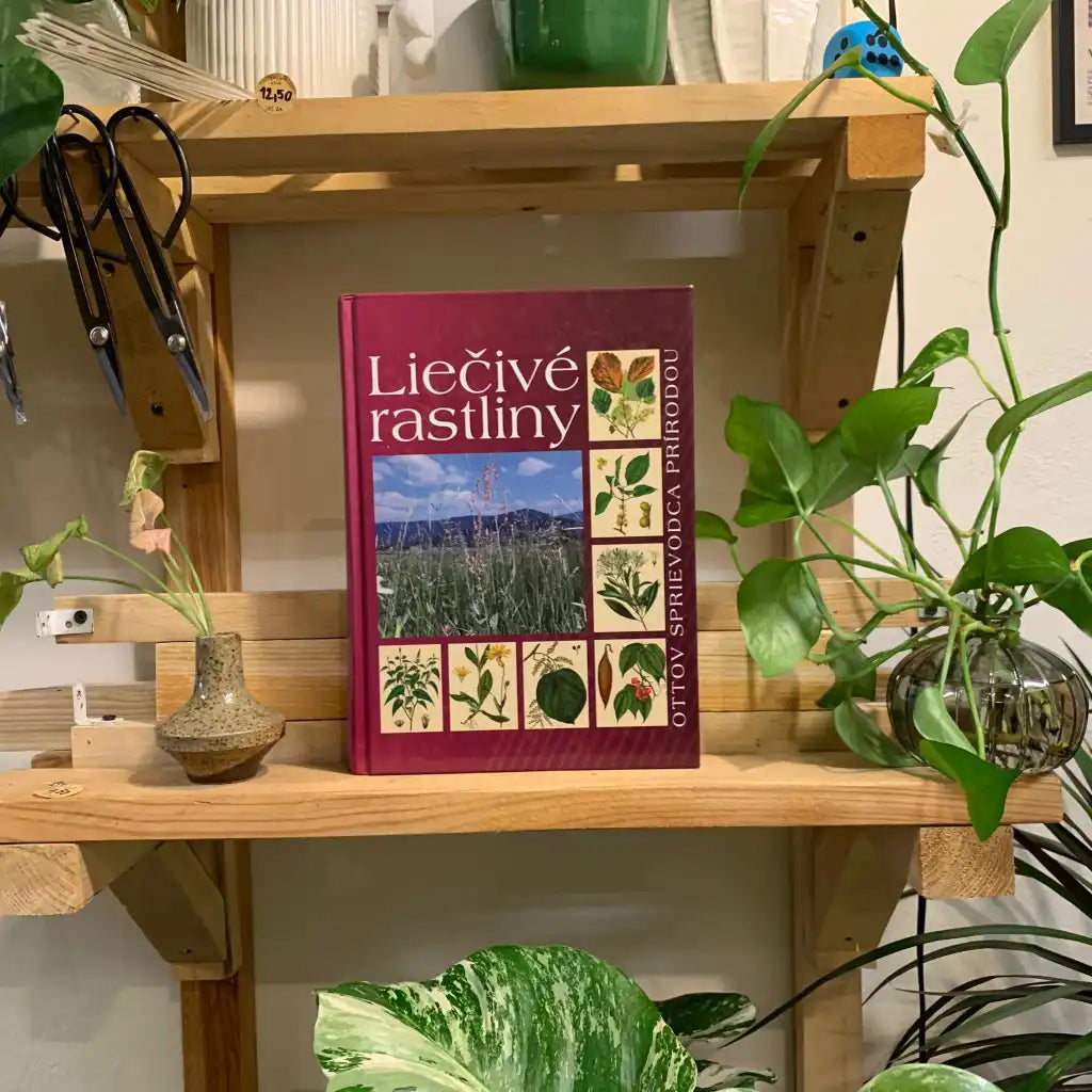 Liečivé rastliny - Ottov sprievodca prírodou