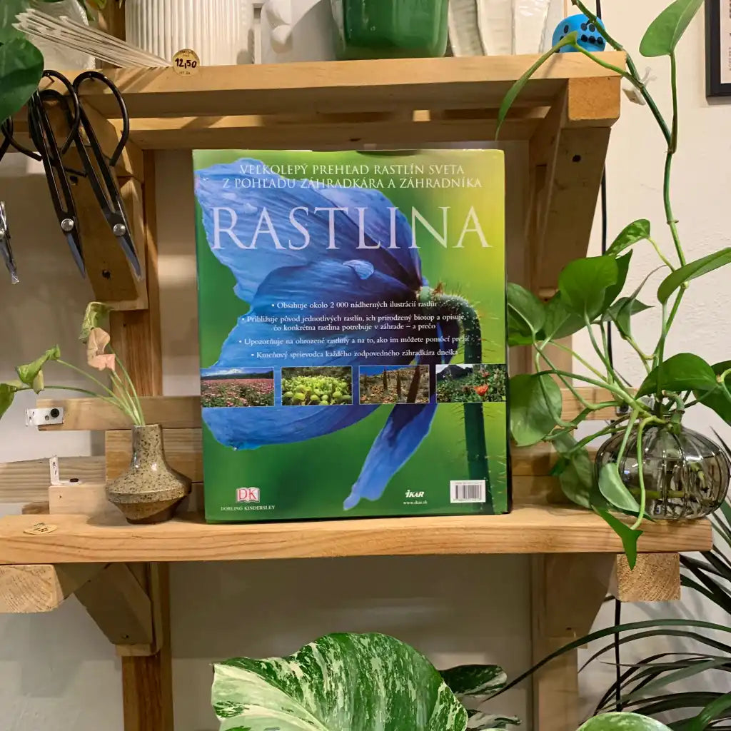 Rastlina. Obrazová encyklopédia rastlín celého sveta - Janet Marinelli
