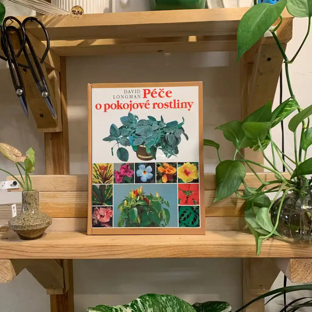 Péče o pokojové rostliny - David Longman