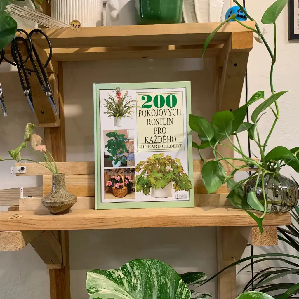 200 Pokojových rostlin pro každého - Richard Gilbert