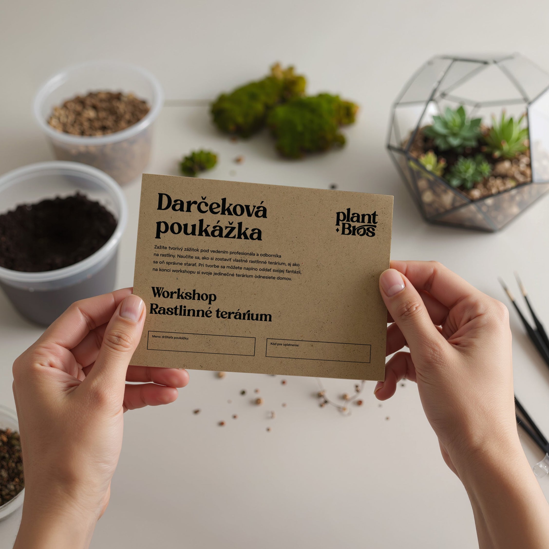 Darčeková poukážka - Workshop rastlinné terárium