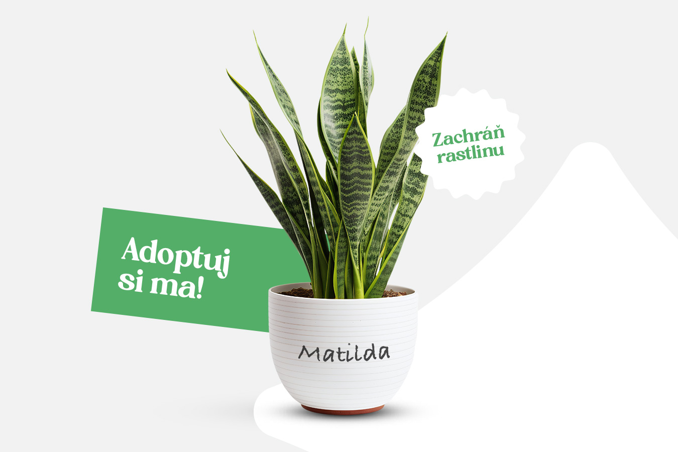 banner-kvetulok-mobil_1